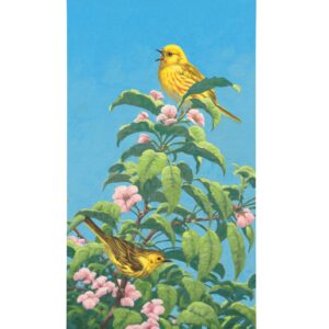 Yellow Warbler - 31" x 16" Gallery Wrapped Canvas