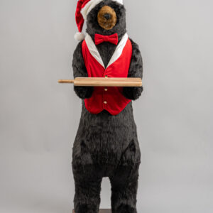 Ditz Designs Butler Christmas Black Bear 58 in. No Teeth
