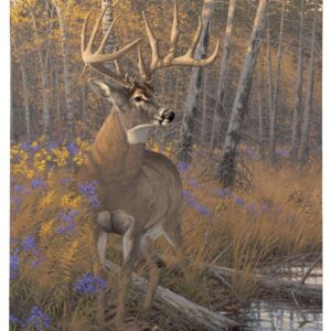 Border Wars Breen Buck - 19" x 24" Gallery Wrapped Canvas