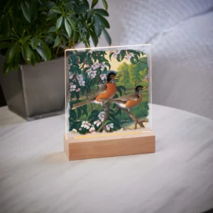 Apple Blossom Time - Robins - Acrylic Night Light