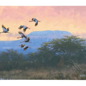 Crowned Cranes - 13" x 18" Gallery Wrapped Canvas
