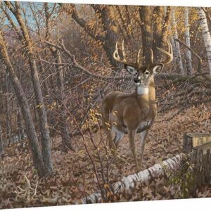Great Eight - Whitetail Deer - 19" x 24" Gallery Wrapped Canvas