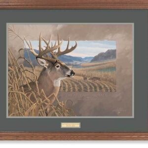 Framed Great Game Animals - Whitetail Deer - 17″ x 23″ GNA Premium Print