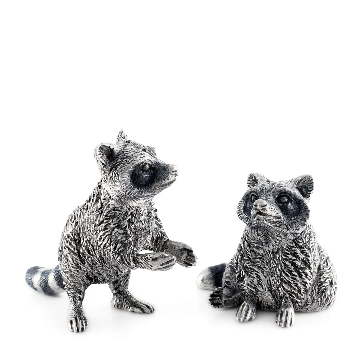Raccoon Salt and Pepper Set