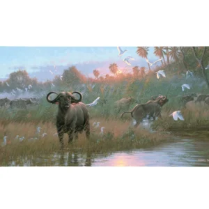 Cape Buffalo - 16" x 31" Gallery Wrapped Canvas