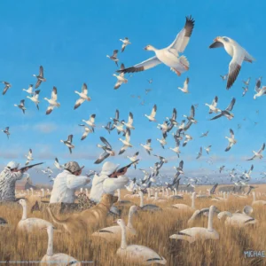Springtime Snows - Snow Goose Hunters – 11″ x 14″ Art Print