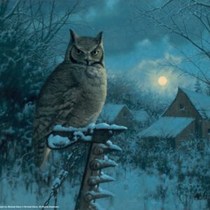 Tiger of the Night – 11″ x 14″ Art Print