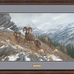 Framed Glacier Kings Bighorn Sheep - 18" x 30" Limited Edition Paper