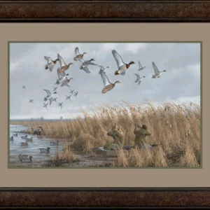 Framed Mallards & Pintails - 27″ x 36″ Limited Edition Paper