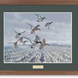 Framed Northern Flight - Mallards - 17″ x 23″ GNA Premium Print