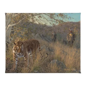 Royal Hunt - Tiger - 16" x 20.5" Gallery Wrapped Canvas