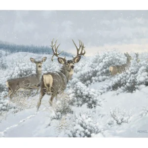 Winter Range Mule Deer - 18" x 13" Gallery Wrapped Canvas