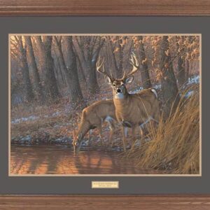 Framed Woodland Waterhole - Deer - 17โณ x 23โณ GNA Premium Print