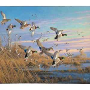 Dropping In - Mallards - 13" x 18" Gallery Wrapped Canvas