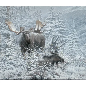 Patient Suitor - Moose - 13" x 18" Gallery Wrapped Canvas