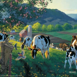 God's Country - Cows – 11″ x 14″ Art Print