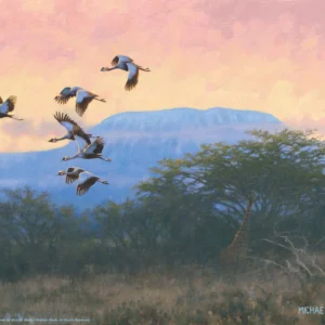 Crowned Cranes – 11″ x 14″ Art Print