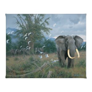 Highland Bull & Egrets - 24" x 19" Gallery Wrapped Canvas