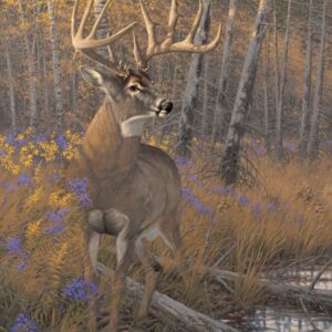 Border Wars Breen Buck – 11″ x 14″ Art Print
