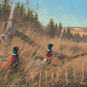 Shelterbelt - Pheasants – 11″ x 14″ Art Print