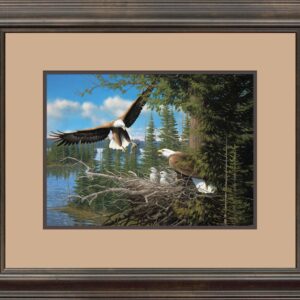 Spring - Bald Eagles - 11″ x 15″ Signed Print