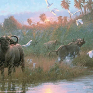 Cape Buffalo – 11″ x 14″ Art Print
