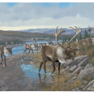 Velvet Crossing - 19" x 24" Gallery Wrapped Canvas