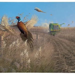 Flying Colors - Pheasants - 19" x 24" Gallery Wrapped Canvas