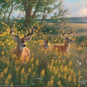 Boys of Summer Whitetail Deer – 11″ x 14″ Art Print