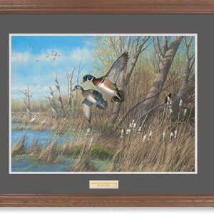 Framed Sunday's Best - Wood Ducks - 17″ x 23″ GNA Premium Print