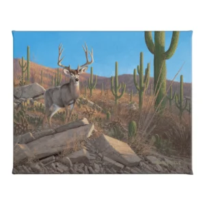 Sonora Sunrise - Mule Deer - 16" x 20.5" Gallery Wrapped Canvas