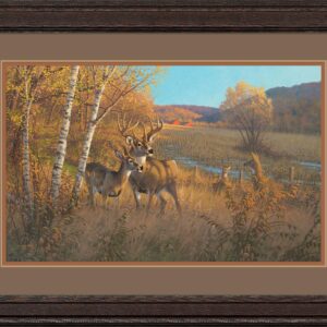 Framed Driftless Country - Whitetail Deer - 16.5" x 26.5" Limited Edition Paper