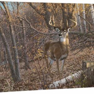 Great Eight - Whitetail Deer - 24" x 36" Gallery Wrapped Canvas