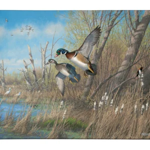 Sunday's Best Wood Ducks - 13" x 18" Gallery Wrapped Canvas