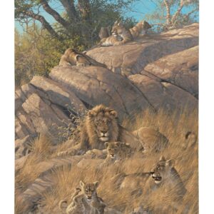 Family Pride Lions - 18" x 13" Gallery Wrapped Canvas