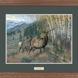 Framed Eastern Slope - Elk - 17″ x 23″ GNA Premium Print