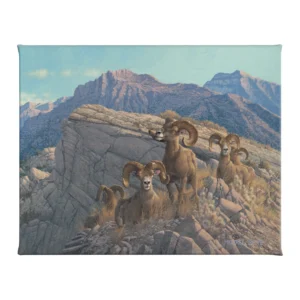 Desert Kings - Desert Bighorn - 16" x 20.5" Gallery Wrapped Canvas