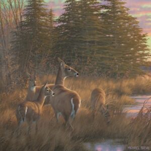 Missouri Does and Fawns - 14" x 14" Gallery Wrapped Canvas