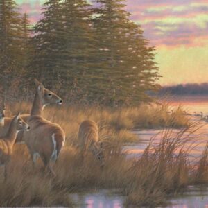 Missouri Does and Fawns - 11″ x 14″ Art Print