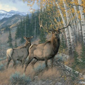 Eastern Slope - Elk - 11″ x 14″ Art Print