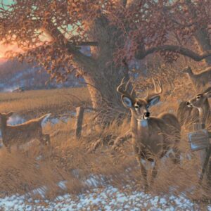 Down From the Ridge - 11″ x 14″ Art Print