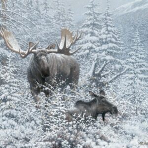 Patient Suitor - Moose - 11″ x 14″ Art Print