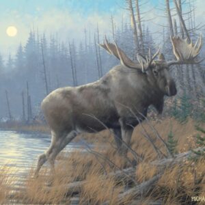 Out of the Mist Moose - 11″ x 14″ Art Print