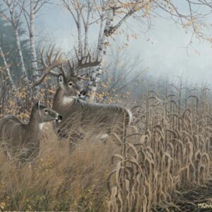 One for the Records - Deer - 11″ x 14″ Art Print
