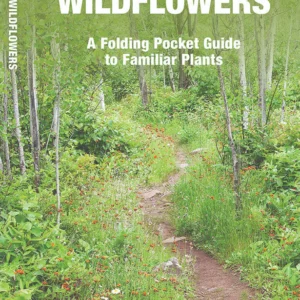 Minnesota Trees & Wildflowers Pocket Guide