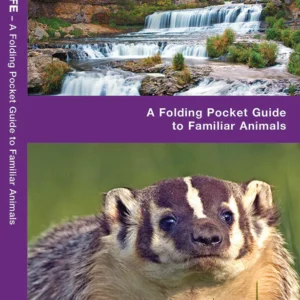 Wisconsin Wildlife Pocket Guide