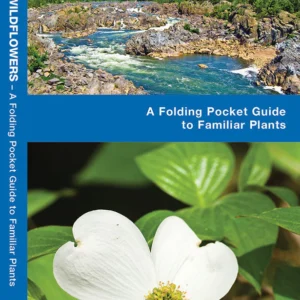 Virginia Trees & Wildflowers Pocket Guide