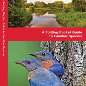 Missouri Birds Pocket Guide