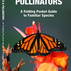 Missouri Butterflies & Pollinators Pocket Guide