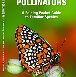 Maine Butterflies & Pollinators Pocket Guide